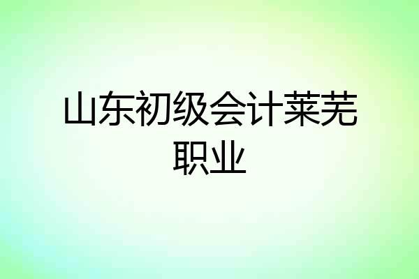 山东初级会计莱芜职业