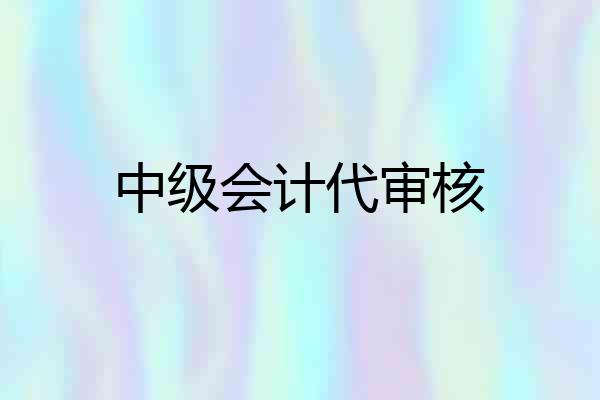 中级会计代审核
