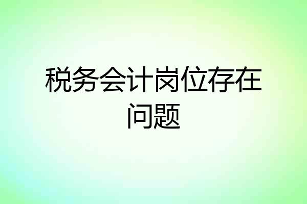 税务会计岗位存在问题