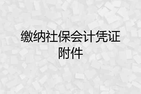 缴纳社保会计凭证附件