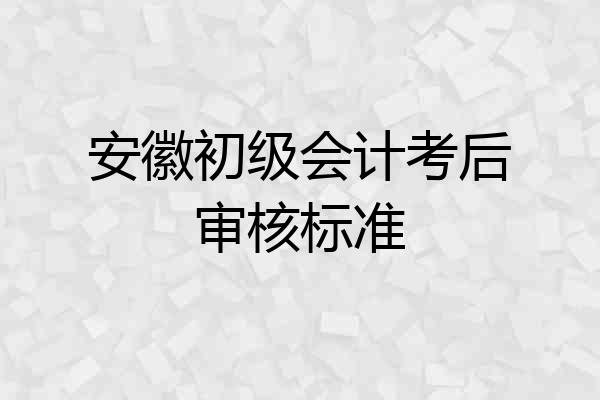 安徽初级会计考后审核标准