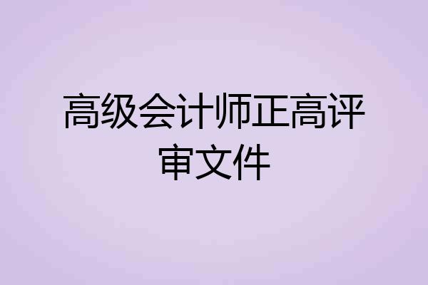 高级会计师正高评审文件