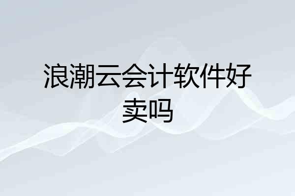 浪潮云会计软件好卖吗