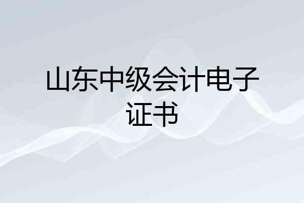 山东中级会计电子证书