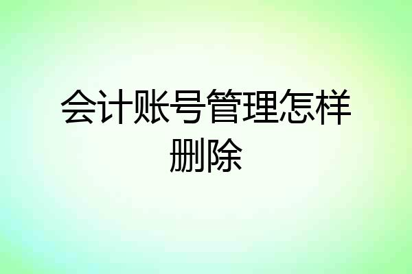 会计账号管理怎样删除
