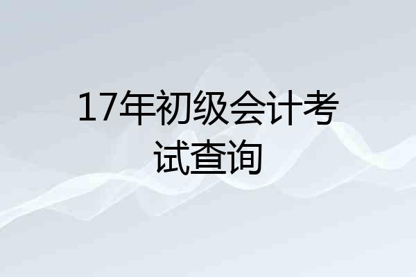 17年初级会计考试查询