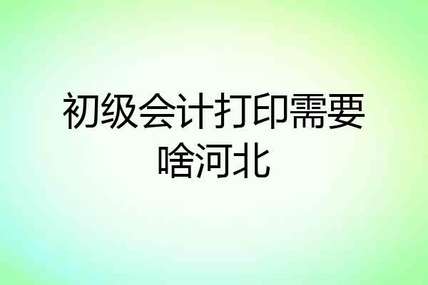 初级会计打印需要啥河北