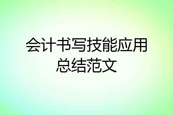 会计书写技能应用总结范文