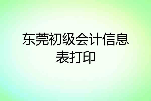 东莞初级会计信息表打印