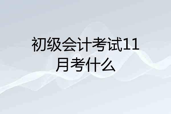 初级会计考试11月考什么
