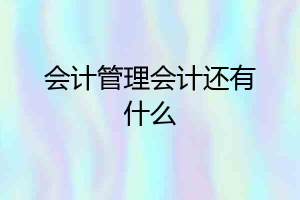 会计管理会计还有什么
