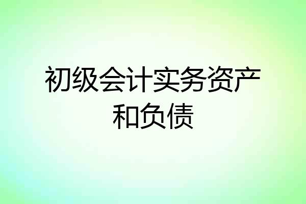初级会计实务资产和负债