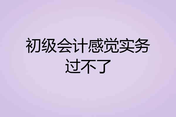 初级会计感觉实务过不了