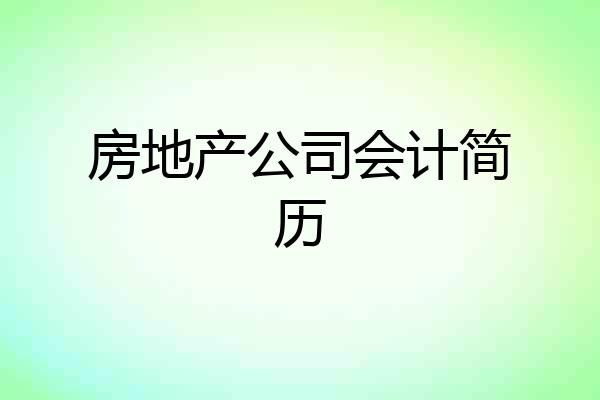 房地产公司会计简历