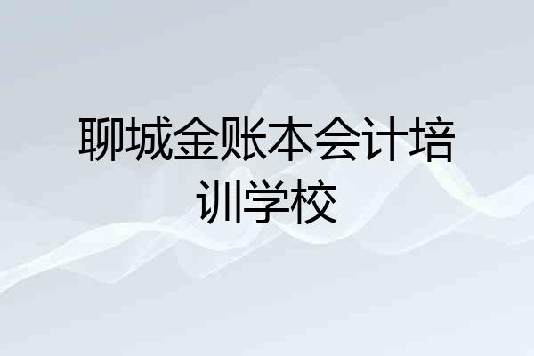 聊城金账本会计培训学校