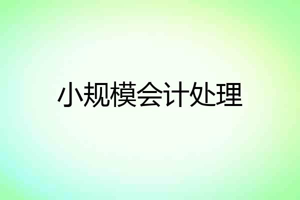 小规模会计处理