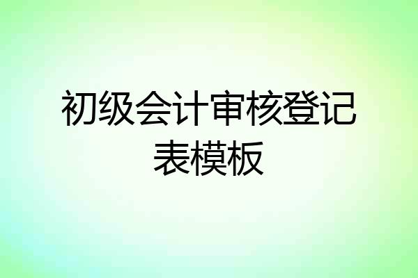 初级会计审核登记表模板