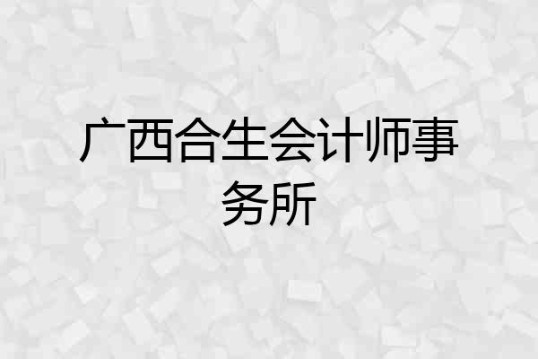 广西合生会计师事务所