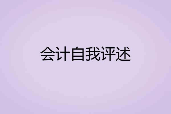 会计自我评述