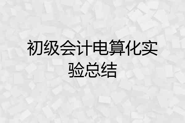 初级会计电算化实验总结