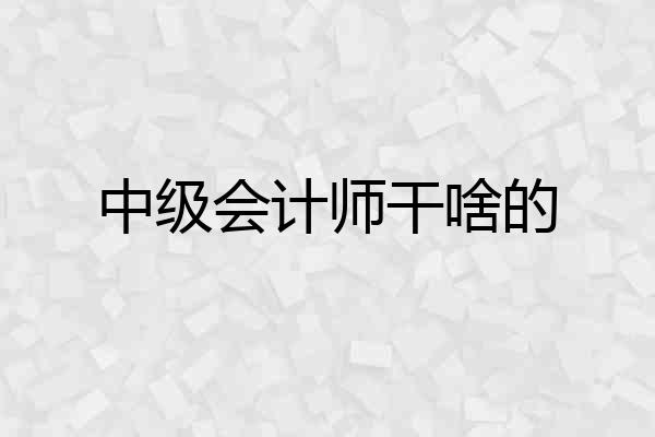 中级会计师干啥的