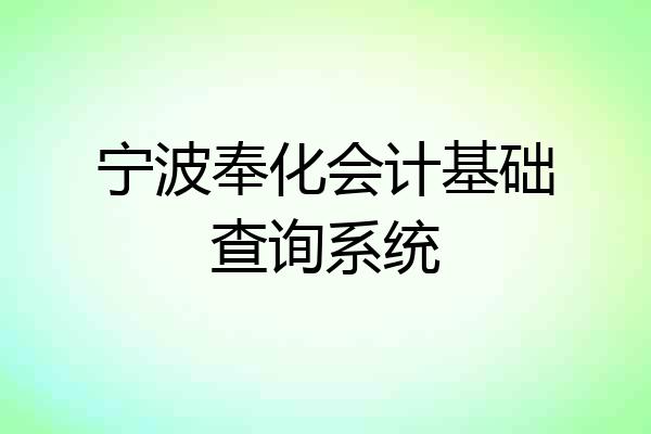 宁波奉化会计基础查询系统