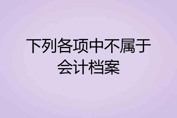 下列各项中不属于会计档案