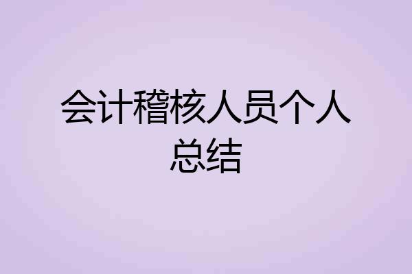 会计稽核人员个人总结