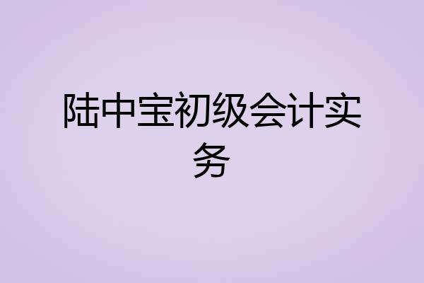 陆中宝初级会计实务