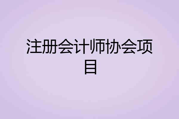 注册会计师协会项目