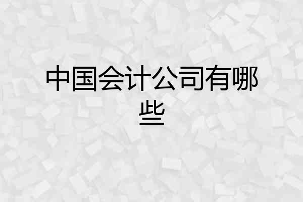 中国会计公司有哪些