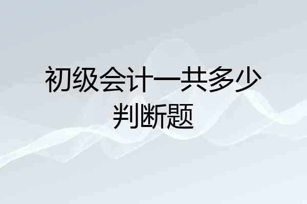 初级会计一共多少判断题