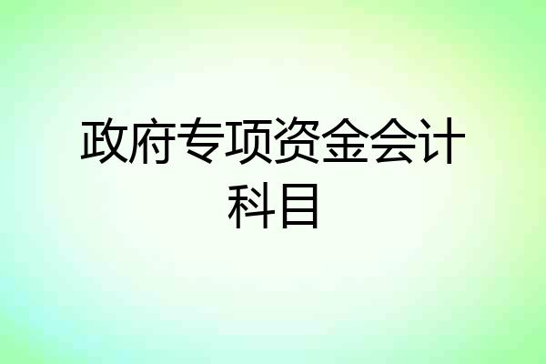 政府专项资金会计科目