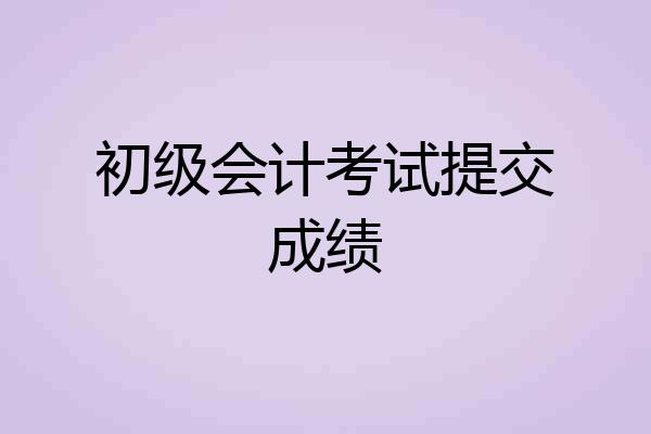 初级会计考试提交成绩