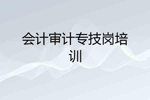 会计审计专技岗培训
