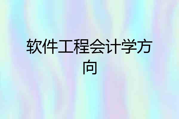 软件工程会计学方向
