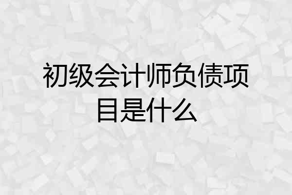 初级会计师负债项目是什么