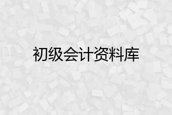 初级会计资料库