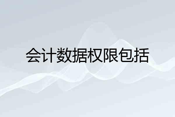 会计数据权限包括