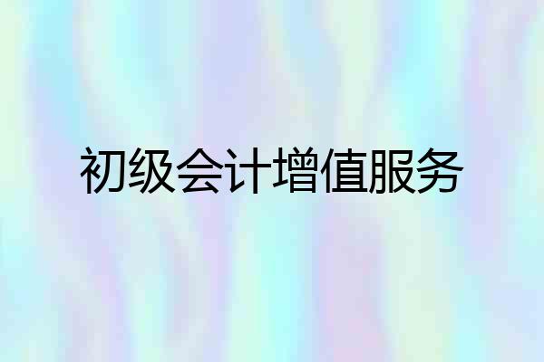 初级会计增值服务