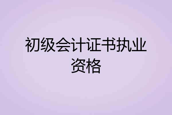 初级会计证书执业资格