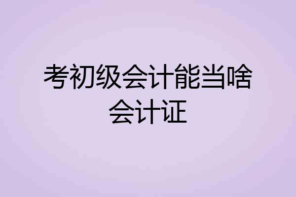 考初级会计能当啥会计证