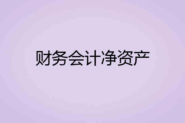 财务会计净资产