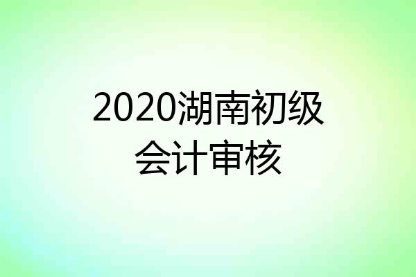 2020湖南初级会计审核