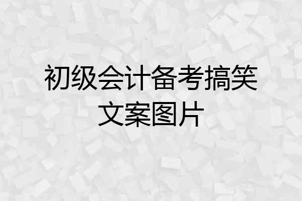 初级会计备考搞笑文案图片
