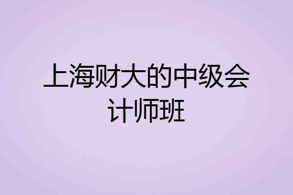 上海财大的中级会计师班