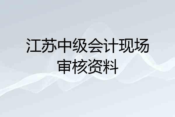 江苏中级会计现场审核资料
