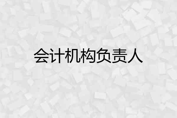 会计机构负责人