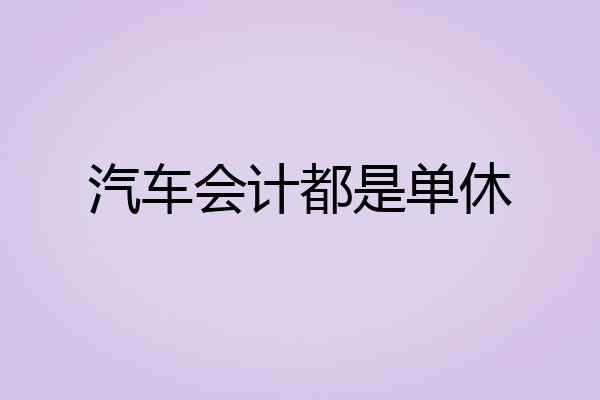 汽车会计都是单休