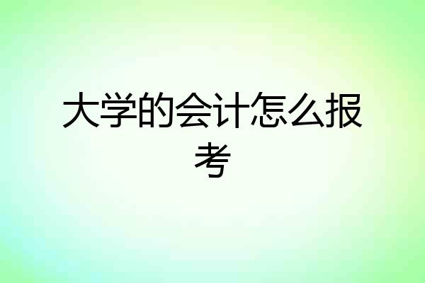 大学的会计怎么报考